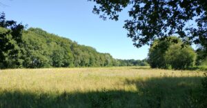 Marijke Baden van Pipta therapie en mindfulness vindt het klimaat belangrijk omdat zij veel compassie heeft ook met de natuur. in de natuur kun je fantastisch mediteren en mentaal weer rustig worden. je laat je perfectionisme en het gepieker achter je. Geen eenzaamheid in de natuur.